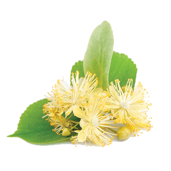 Linden Flowers Natural Flavor Aroma - Aroma Naturale Gusto Fiori di Tiglio
