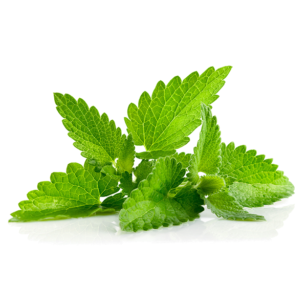 Mint Natural Flavor Aroma - Aroma Naturale Gusto Menta